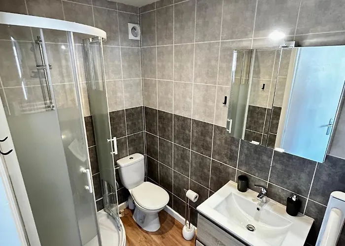 Апартаменты Le Petit Placieux, Garage Gratuit Sur Place Нанси